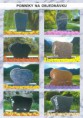 /album/pomniky/katalog-pomnikov-page-002-jpg/