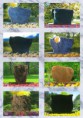 /album/pomniky/katalog-pomnikov-page-009-jpg/
